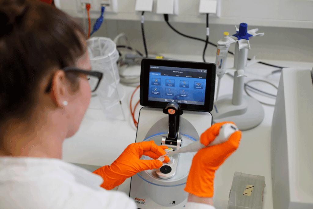 Gründerin zwischen Biotech und Umweltschutz: Anne Findeisen im Interview