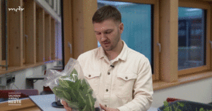 Kloka Inkubator Farming